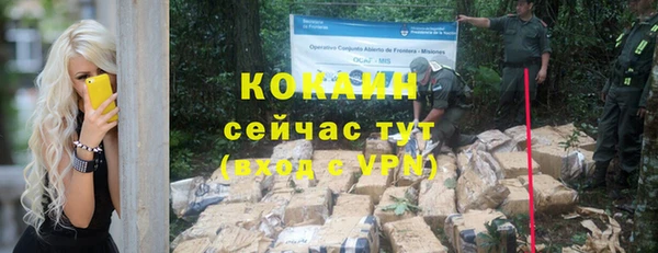 первитин Мегион