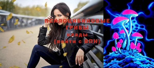 спайс Магас