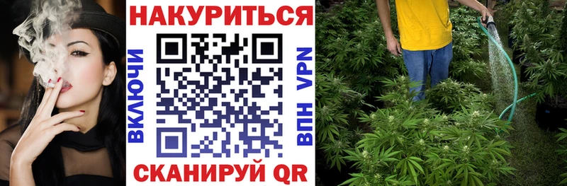 Бошки Шишки план  Купить  Георгиевск 